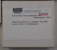 Image Associated With the Occurence